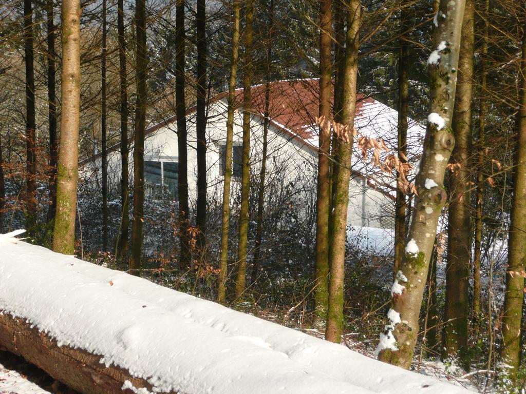 Au Palton Bed & Breakfast Raon-aux-Bois Exterior photo